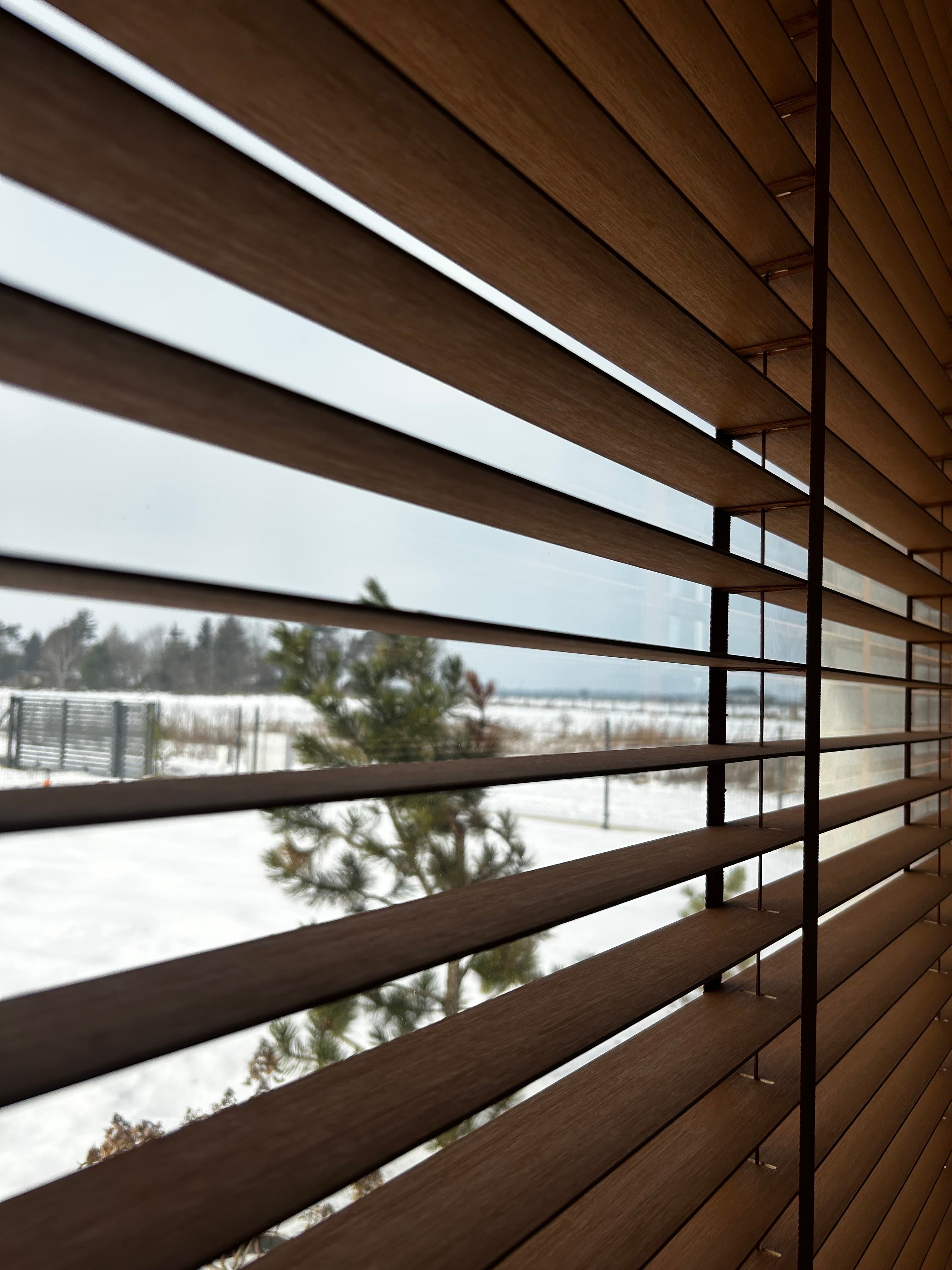 Low-angle view through vertical wooden blinds showing a snowy landscape with a pine tree outside.
